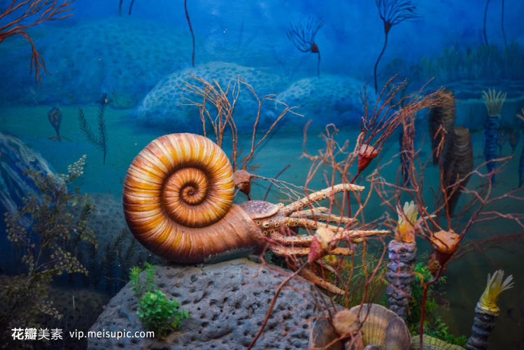 博物館里的史前巨獸 探秘第四紀(jì)生物模型